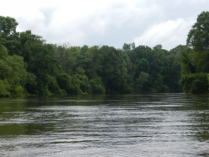 Apalachicola River Water Management Area