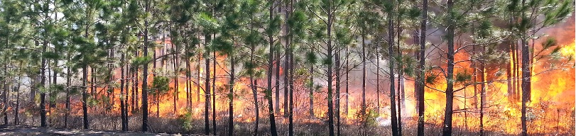 land Management -Prescribed Burns