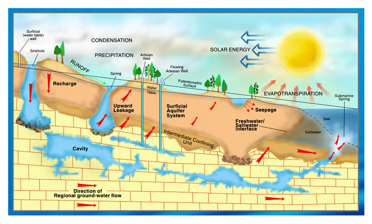 Hydrologic cycle cross section
