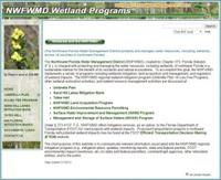 Wetland-Mitigation_medium