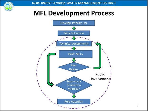 MFL Process