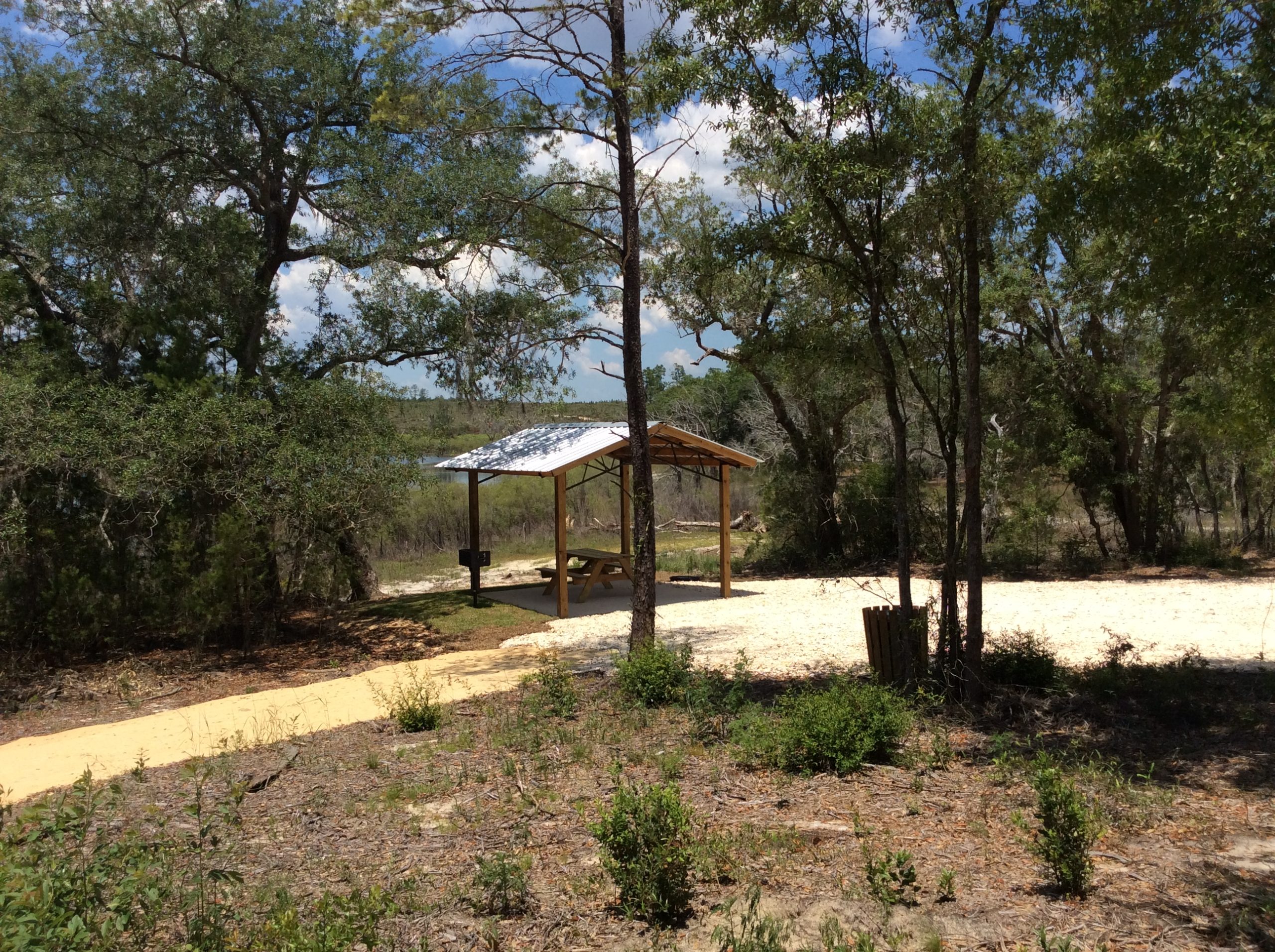 Whitewater Lake campsite