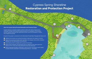 An artist's rendering of the Cypress Spring shoreline restoration and protection project